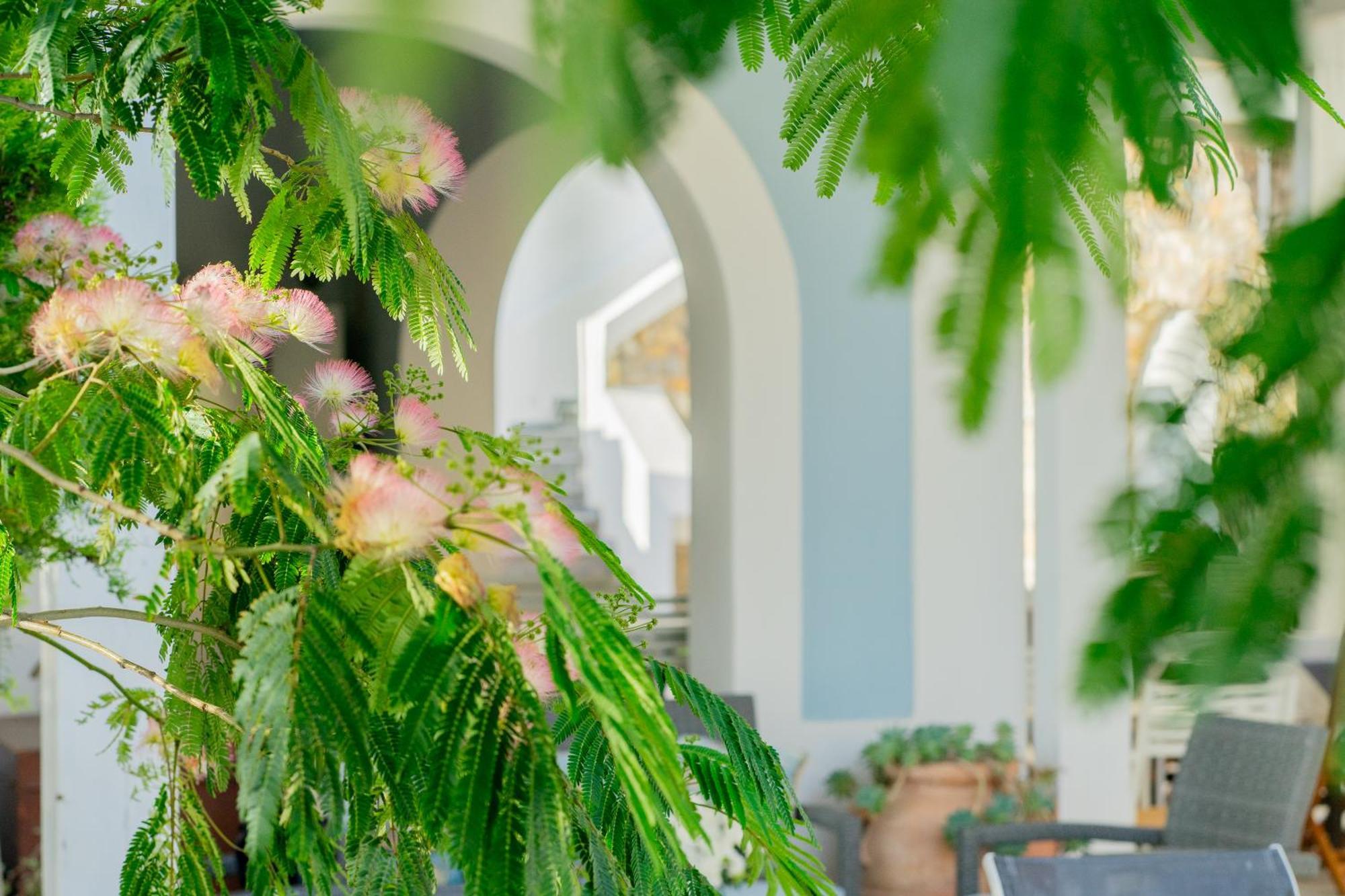 Villa Acacia Понца Екстериор снимка