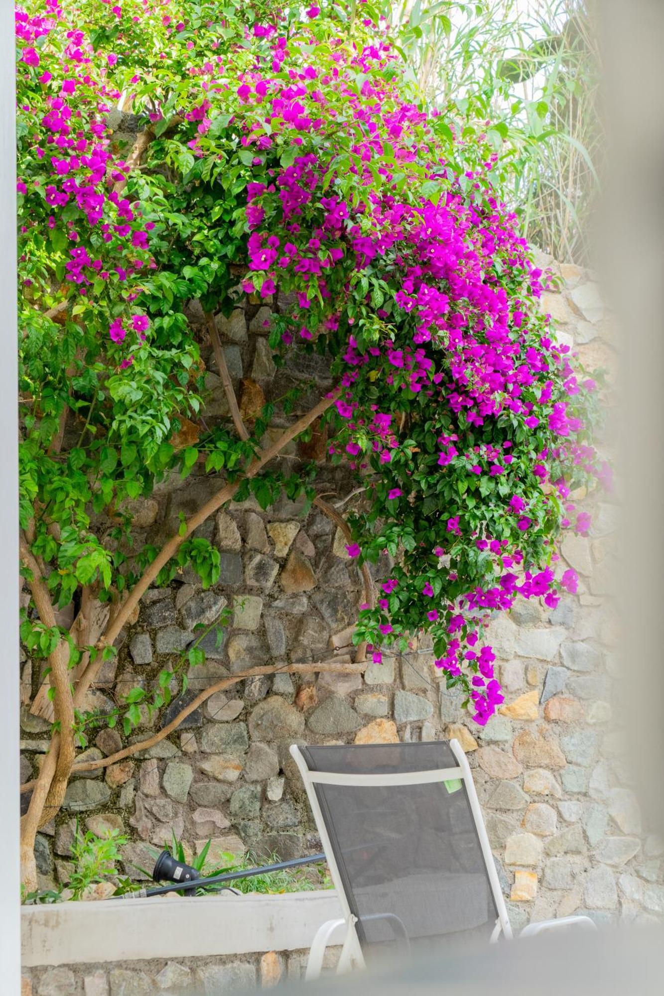 Villa Acacia Понца Екстериор снимка
