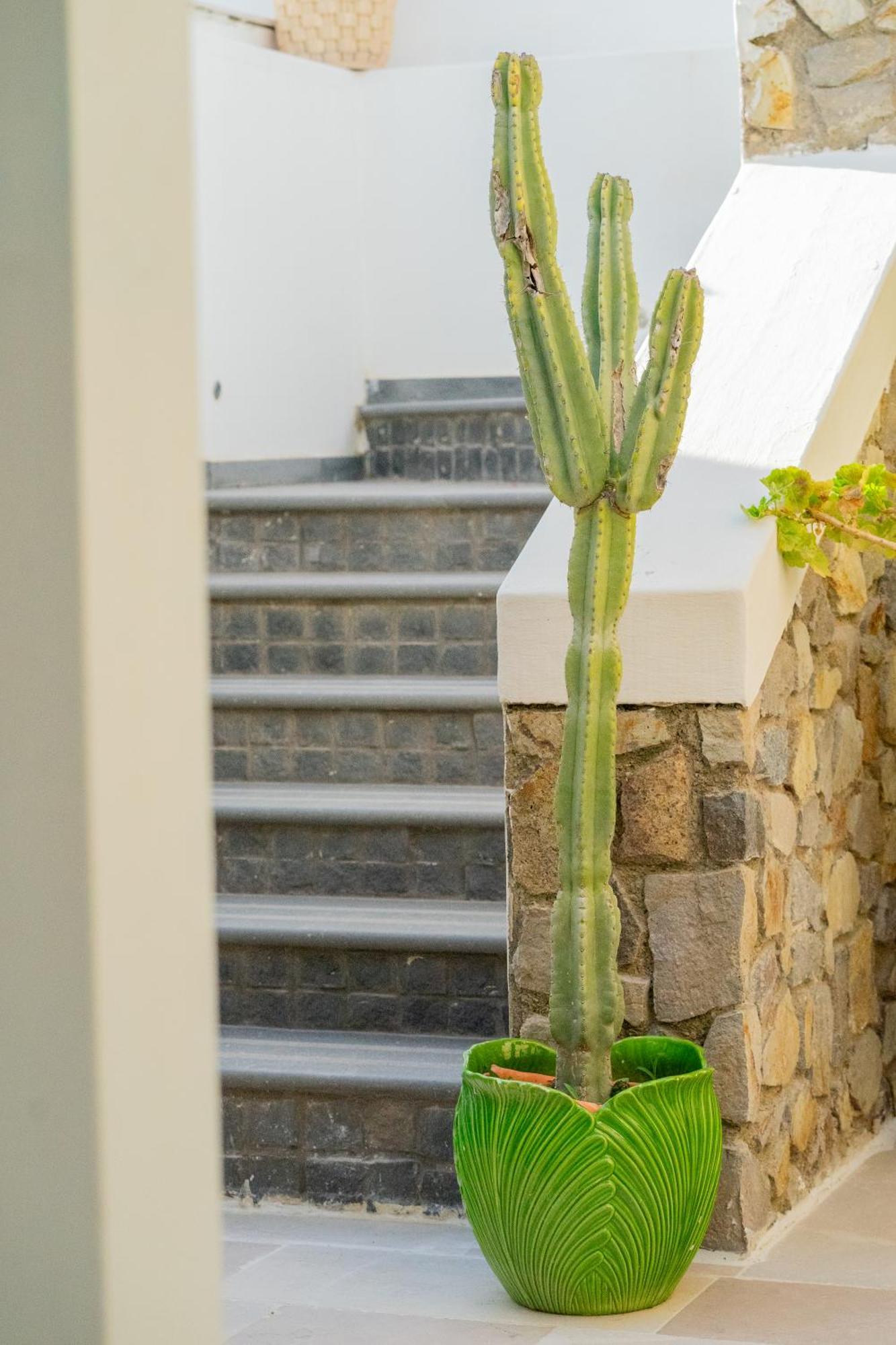 Villa Acacia Понца Екстериор снимка