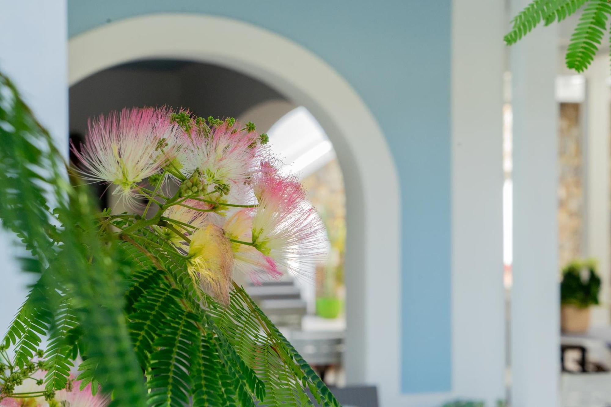 Villa Acacia Понца Екстериор снимка